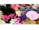 Магазин цветов Виола фото - доставка цветов и букетов