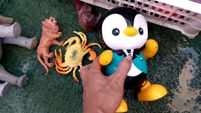 Membersihkan-bebek-angsa-singa-gajah-ora_18.mp4
