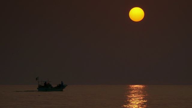 Живая природа Японии. 2 серия. Юго-Западные острова