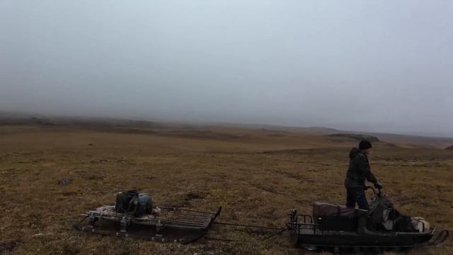Охота на дикого оленя в Северной Якутии