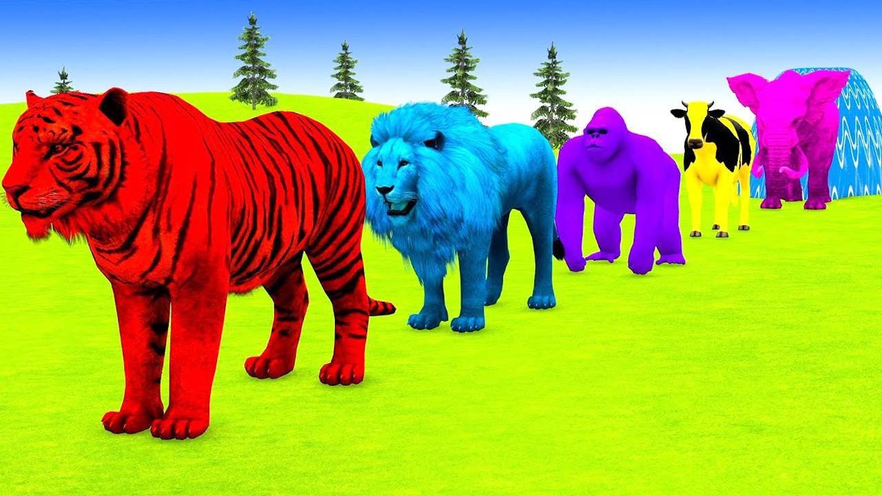 Мультики про животных. Дикие животные: горилла, тигр, бегемот. Смотреть онлайн Мультики для детей
