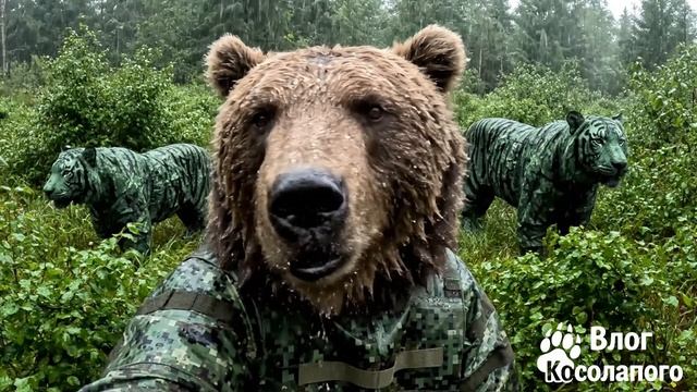 приключения мишки на СВО 6
