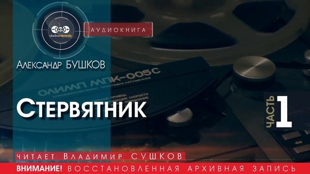 Стервятник - часть 1 - Александр БУШКОВ (читает Владимир СУШКОВ) | аудиокниги слушать бесплатно