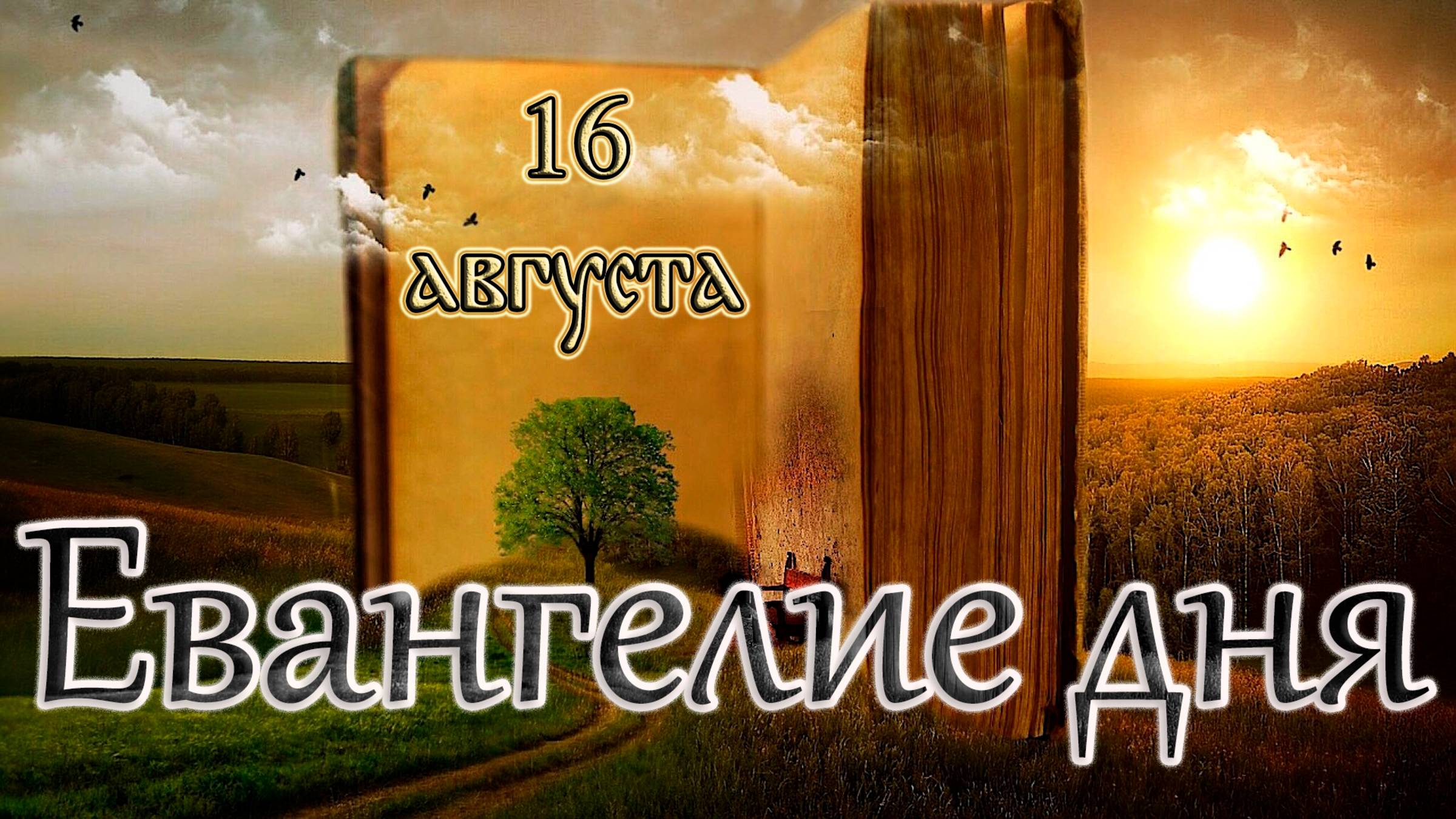 Апостол, Евангелие и Святые дня. Прп. Анто́ния Римлянина, Новгородского чудотворца. (16.08.25)
