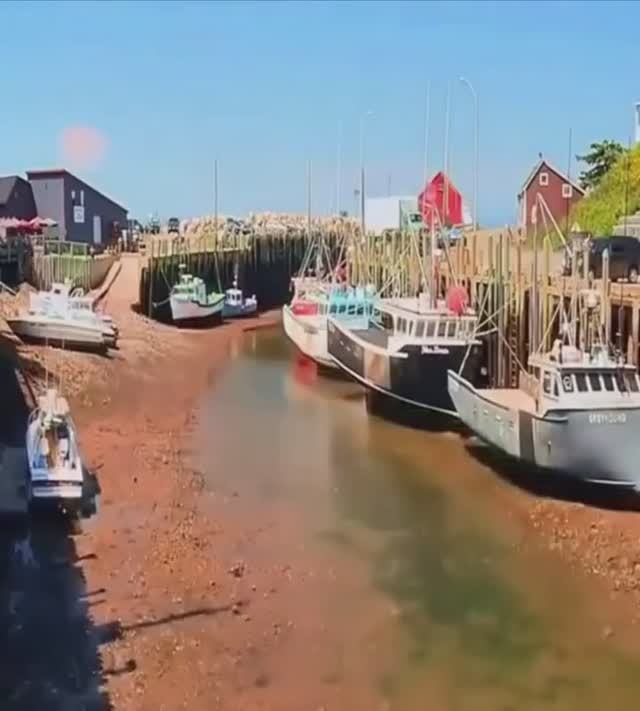Отливы!