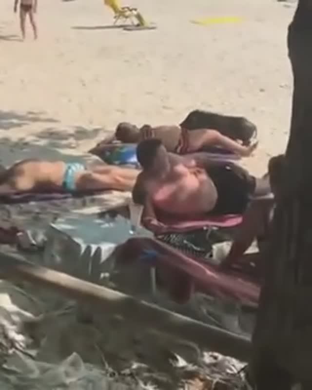 Проверяющий