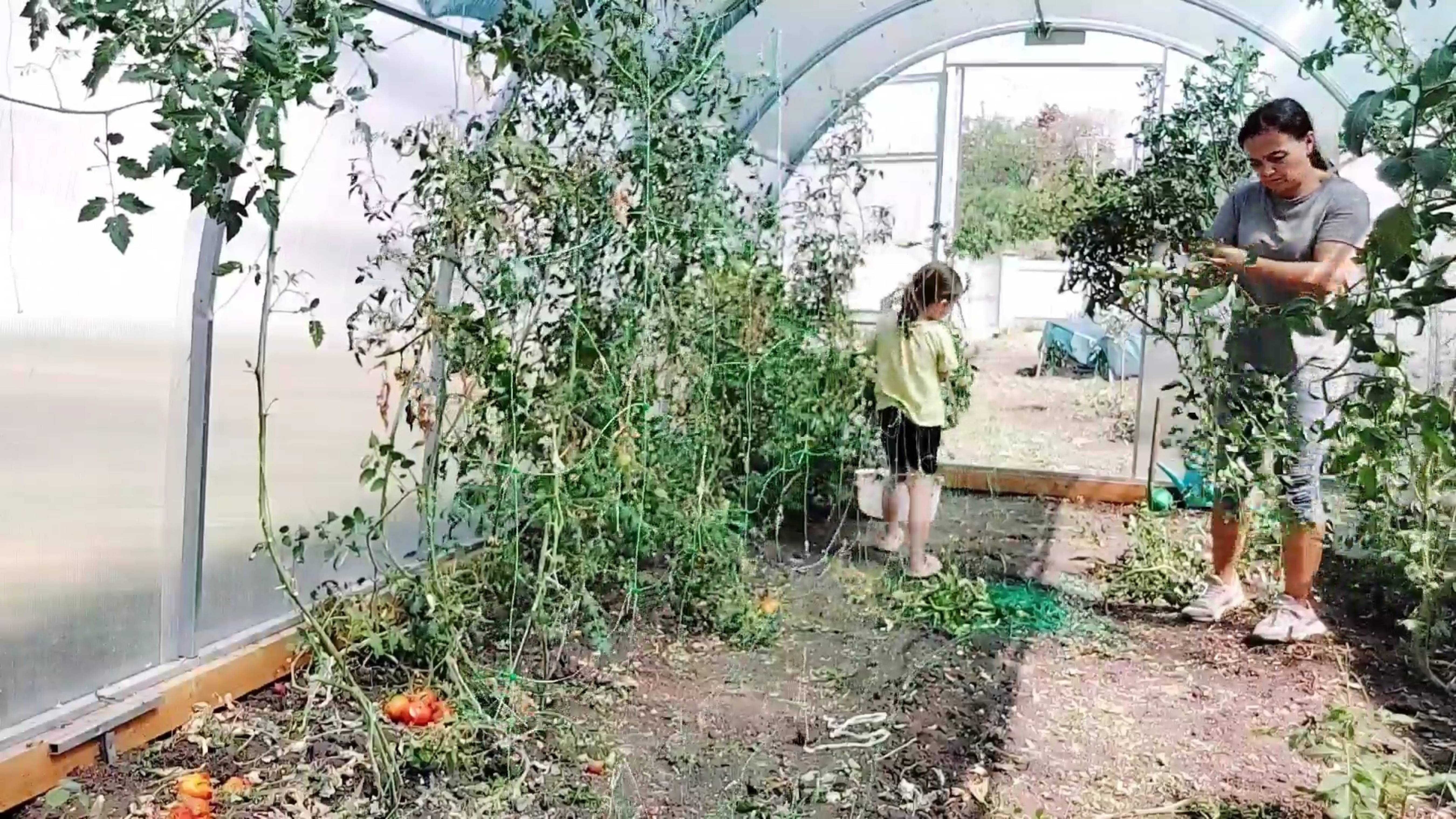 288 Жизнь на юге. Работаем на участке. Урожай гниёт, Сил нет, устала. Встреча с подругой.