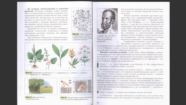 Биология 6 Класс 1 Параграф