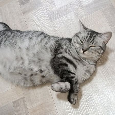Роман  С.