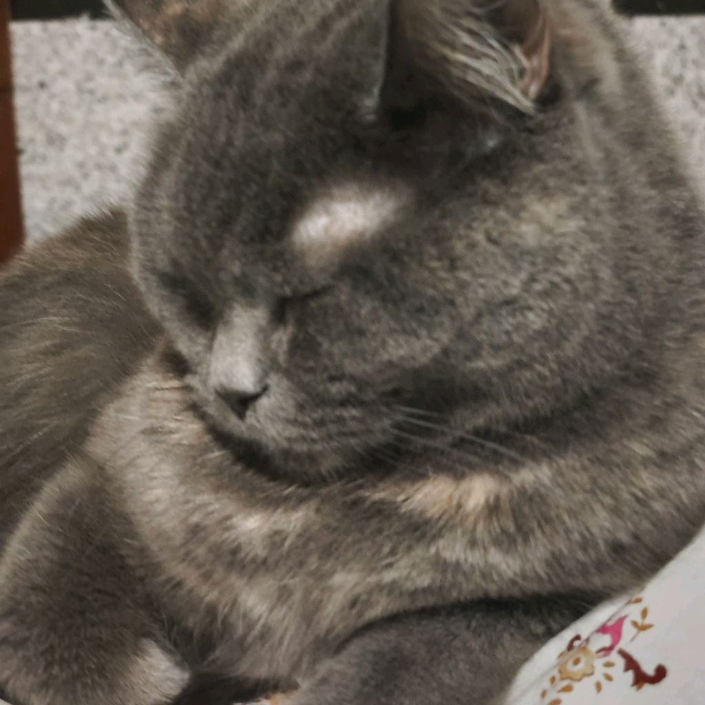 MDM