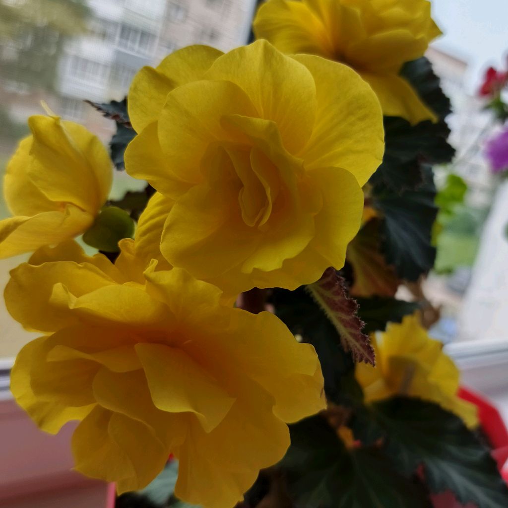 Осознанность день за днём 🌞