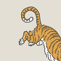 Tiger_Tail