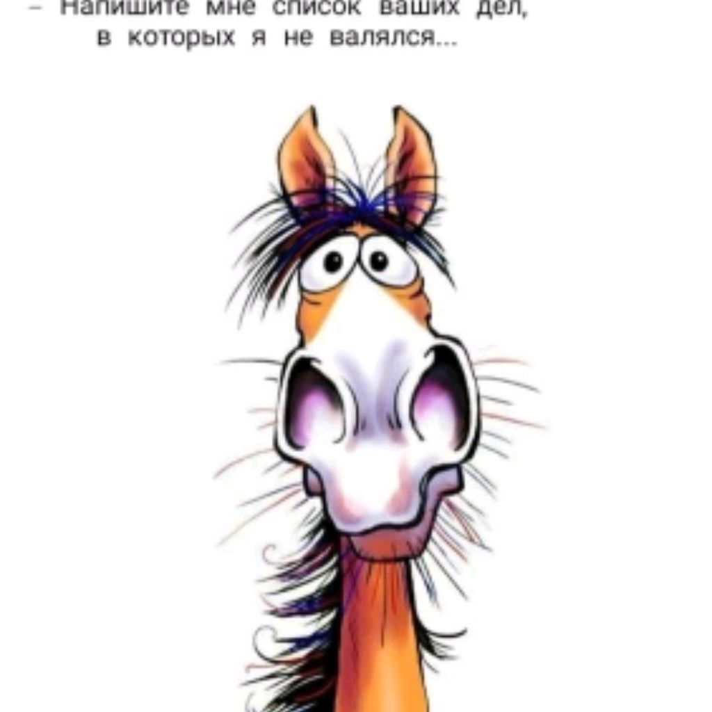 Dimitrius