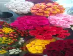 Магазин цветов Актив-салют фото - доставка цветов и букетов