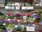 Магазин цветов Акварель фото - доставка цветов и букетов