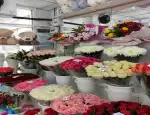 Магазин цветов Al. flowers фото - доставка цветов и букетов