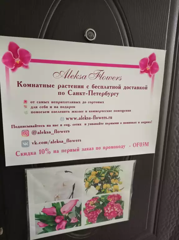 Магазин цветов Aleksa Flowers фото - доставка цветов и букетов