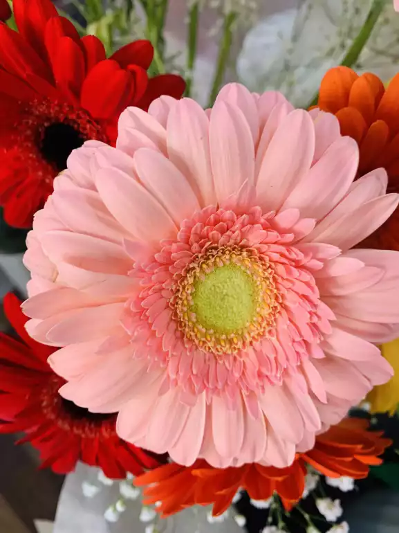 Магазин цветов Аленький цветочек фото - доставка цветов и букетов
