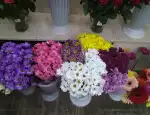 Магазин цветов Алёнушка фото - доставка цветов и букетов