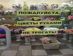 Магазин цветов Аната фото - доставка цветов и букетов