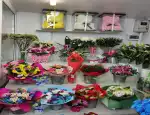 Магазин цветов Ani-flora фото - доставка цветов и букетов