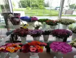 Магазин цветов Анна-Мария фото - доставка цветов и букетов