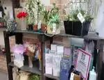 Магазин цветов Анна-Мария фото - доставка цветов и букетов