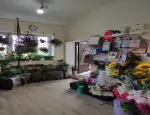 Магазин цветов Аннушка фото - доставка цветов и букетов