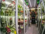 Магазин цветов Arbat-flowers24 фото - доставка цветов и букетов