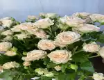 Магазин цветов Аура-Цветов фото - доставка цветов и букетов