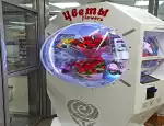 Магазин цветов Автомат по продаже цветов фото - доставка цветов и букетов