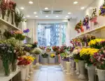 Магазин цветов Бабочка фото - доставка цветов и букетов