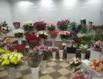 Магазин цветов База цветов фото - доставка цветов и букетов