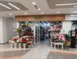 Магазин цветов Бэль флёр фото - доставка цветов и букетов