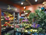 Магазин цветов Ботаника фото - доставка цветов и букетов