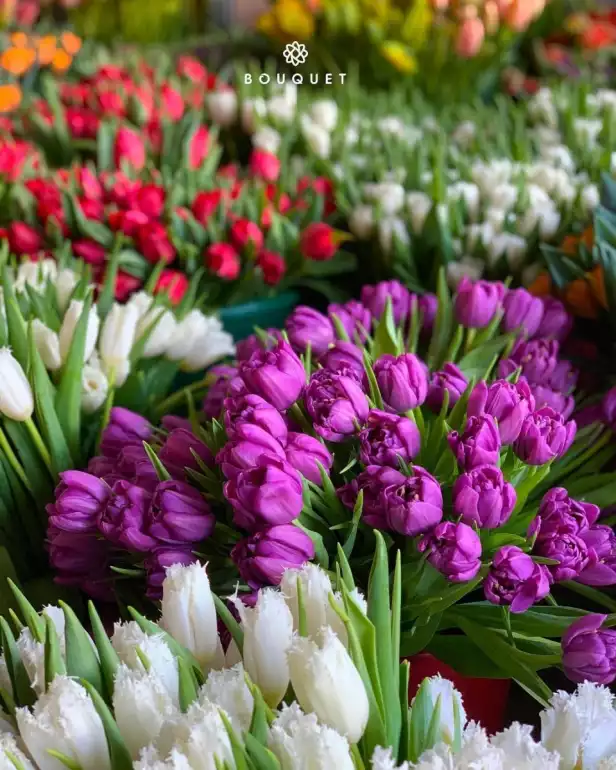 Магазин цветов Bouquet фото - доставка цветов и букетов