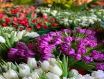 Магазин цветов Bouquet фото - доставка цветов и букетов