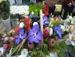 Магазин цветов Buket-Moskva фото - доставка цветов и букетов
