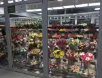 Магазин цветов БукетОпт фото - доставка цветов и букетов