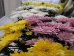 Магазин цветов Бутон фото - доставка цветов и букетов
