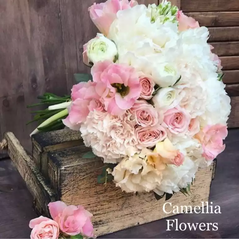 Магазин цветов Camellia фото - доставка цветов и букетов