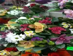 Магазин цветов Цветочная база фото - доставка цветов и букетов