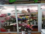 Магазин цветов Цветочная лавка фото - доставка цветов и букетов