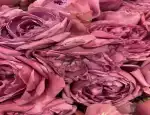 Магазин цветов Цветочная точка фото - доставка цветов и букетов