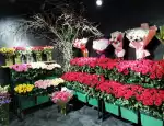 Магазин цветов Цветочный дворик фото - доставка цветов и букетов