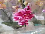 Магазин цветов Цветочный край фото - доставка цветов и букетов