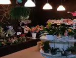 Магазин цветов Цветочный подвальчик фото - доставка цветов и букетов