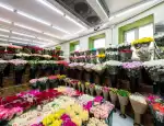 Магазин цветов Цветочный склад фото - доставка цветов и букетов