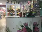 Магазин цветов ЦветОк фото - доставка цветов и букетов