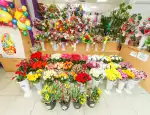Магазин цветов Цветы надежды фото - доставка цветов и букетов